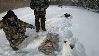 ВОТ НАТАСКАЛИ ЗА ДВА ЧАСА РЫБАЛКИ КРУПНОЙ СОРОГИ (ПЛОТВЫ)! ЯЗЬ И ОКУНЬ НЕ УСПЕВАЕТ! НОРМА ВЫЛОВА)))!