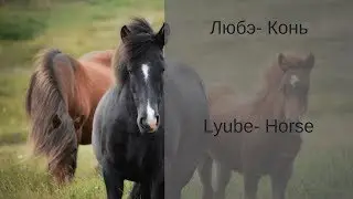 Learn Russian with Songs - Lyube Horse - Любэ Конь