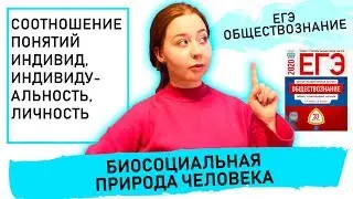 Биосоциальная природа человека. Соотношение понятий ИНДИВИД, ИНДИВИДУАЛЬНОСТЬ, ЛИЧНОСТЬ