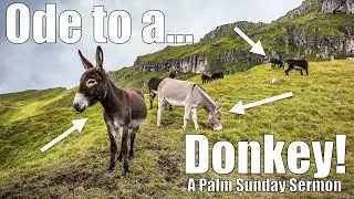 Ode to a Donkey | Matthew 21:1-11 Sermon (Jesus' Triumphal Entry - Palm Sunday)