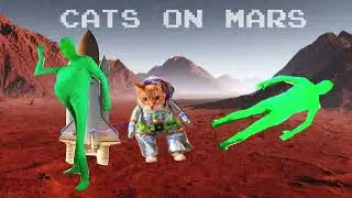 cats on mars