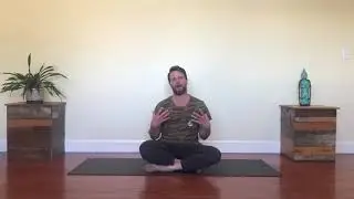 Functional Yoga Breakdown - Down Dog