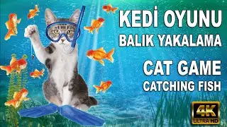 Kedi Oyunu l Balık Yakalama I 2023 ün En Eğlenceli Oyunu Seçildi