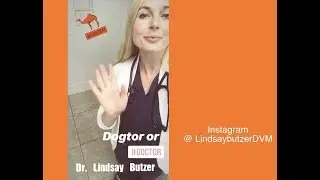 Instagram Contribute | Dr. Lindsay Butzer