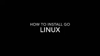 How to install run golang on linux