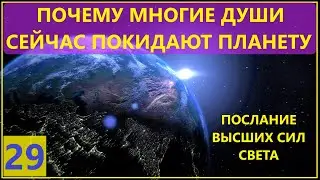 ПОЧЕМУ МНОГИЕ ДУШИ СЕЙЧАС ПОКИДАЮТ ПЛАНЕТУ? Послание Высших Сил Света. Лариса Добро.