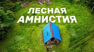 Лесная амнистия. Что делать если участок оказался в лесном фонде?