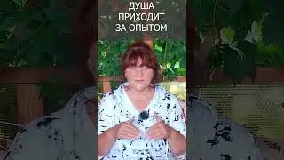 Душа приходит за опытом#shorts Ирина Белова