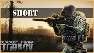 Tarkov Shorts: SCAV AI mbots