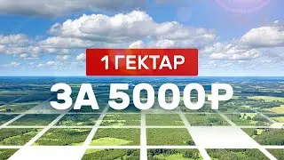 Как получить 1 Га земли за 5000 руб. Лесной участок под пчеловодство 2020. Аренда лесного участка