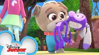 Bunny Monkey Song 🎵| Music Video | Puppy Dog Pals | Disney Junior