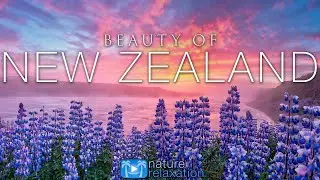 BEAUTY OF NEW ZEALAND (4K) 1HR Nature Relaxation™ Film + Music for Stress Relief - South Island UHD