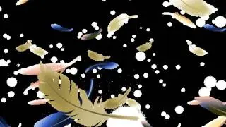 Футаж птичьи перья 2