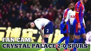 FAN CAM: Crystal Palace 2-0 Tottenham: Spurs Out of the FA Cup - 27 January 2019