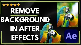 ✅ How to REMOVE BACKGROUND IN AFTER EFFECTS - FULL GUIDE 🚀✨😱✅