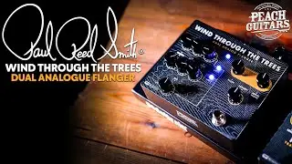 Lets Test PRSs Wind Through The Trees Dual Flanger! | 5 AWESOME Tones You NEED To Try!