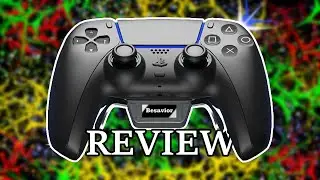 Besavior Custom Controller - The Good And The Bad