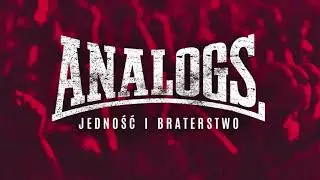 THE ANALOGS "Jedność I Braterstwo" (NOWA PIOSENKA!!!)