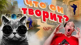 mr.Cat не шутит! мистер кет в CS2