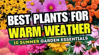 🌞 10 Best Plants for WARM WEATHER ✨ SUMMER GARDEN ESSENTIALS ✅