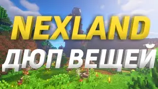 Дюп вещей на сервере NexLand