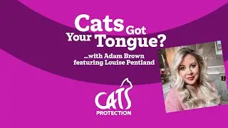 Cats Got Your Tongue? podcast with Louise Pentland 🐱🎙️  Juggling cats and kids