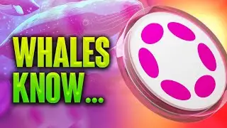 Crypto Whales Are Secretly Accumulating Polkadot DOT