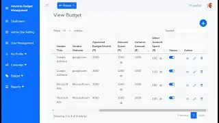 AdWords Budget Management Software
