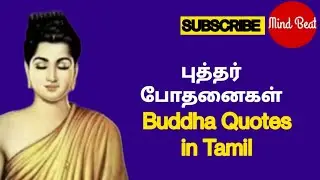 Motivational lines/Buddha quotes/புத்தர் பொன் மொழிகள்/ Tamil/Mind Beat புத்தர் போதனைகள்