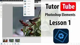 Photoshop Elements Tutorial - Lesson 1 - Opening the Photo Editor from Welcome Screen