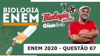 BIOTECNOLOGIA NA PROVA ENEM 2020 - QUESTÃO 07