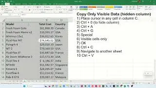 Copy Only Visible Cells - Excel Tips and Tricks