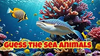 Can you guess the sea creatures? Fun And Educational  Preschoolers Kindergarten Toddlers