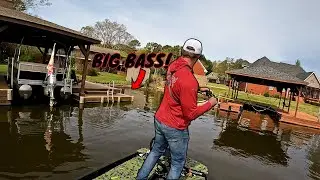 Catching BIG BASS Under Boat Docks