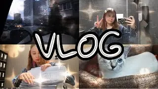 VLOG: My weekday | Study, work | Мой будний день | 나의 평일