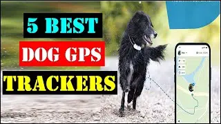 Best Dog GPS Trackers 2023 | Top 5 Best Dog GPS Trackers - Review