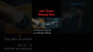 Josh Turner - Unsung Hero Guitar Chords Lyrics #shorts