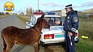 РЖАЛ ДО СЛЕЗ 😂 25 Минут ОТБОРНЫХ Русских приколов МАРТ 2024 Смешные видео - Лучшие ПРИКОЛЫ #10