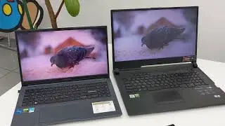 Игровой ноутбук Asus VivoBook Pro 15 Oled VS Монстра игр Asus Rog Strix Scar 17