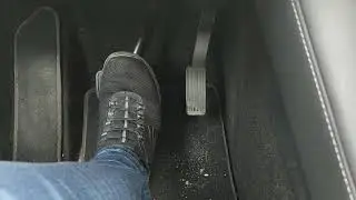 How to put Tesla Model Y in Neutral