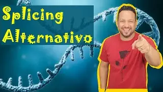 Splicing Alternativo - Maturação de RNA - RNA - Genética Molecular - Bioquímica