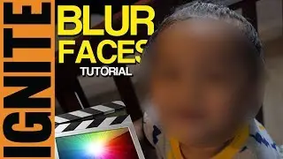 How To : Final Cut Pro Tutorial For Beginners (Blur Face)