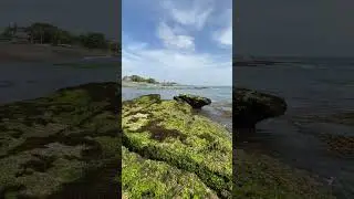 Bali canggu