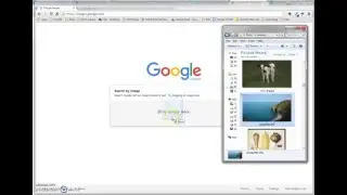 #40 Use an image to search for images