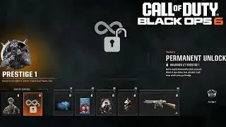 How To Use Permanent Unlock Tokens In Black Ops 6