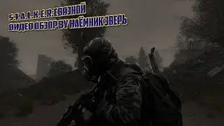 S.T.A.L.K.E.R:Связной.Обзор