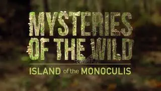 Trailer: Mysteries of The Wild Directed by Rui Veiga