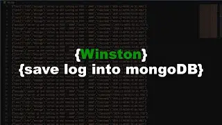 winston logger | Log into MongoDB | File | Console | nodejs tutorial