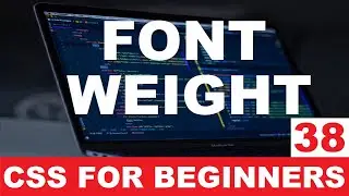 CSS Tutorial 38 : Font weight