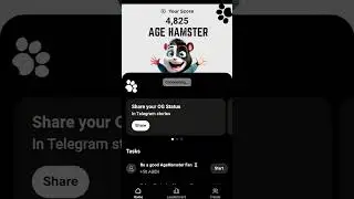 بوت تعدين هامستر  نمط dog موثوق ولسى جديد الحق كون من اوائل المعدنينyoutub#hamsterkombat #telegram